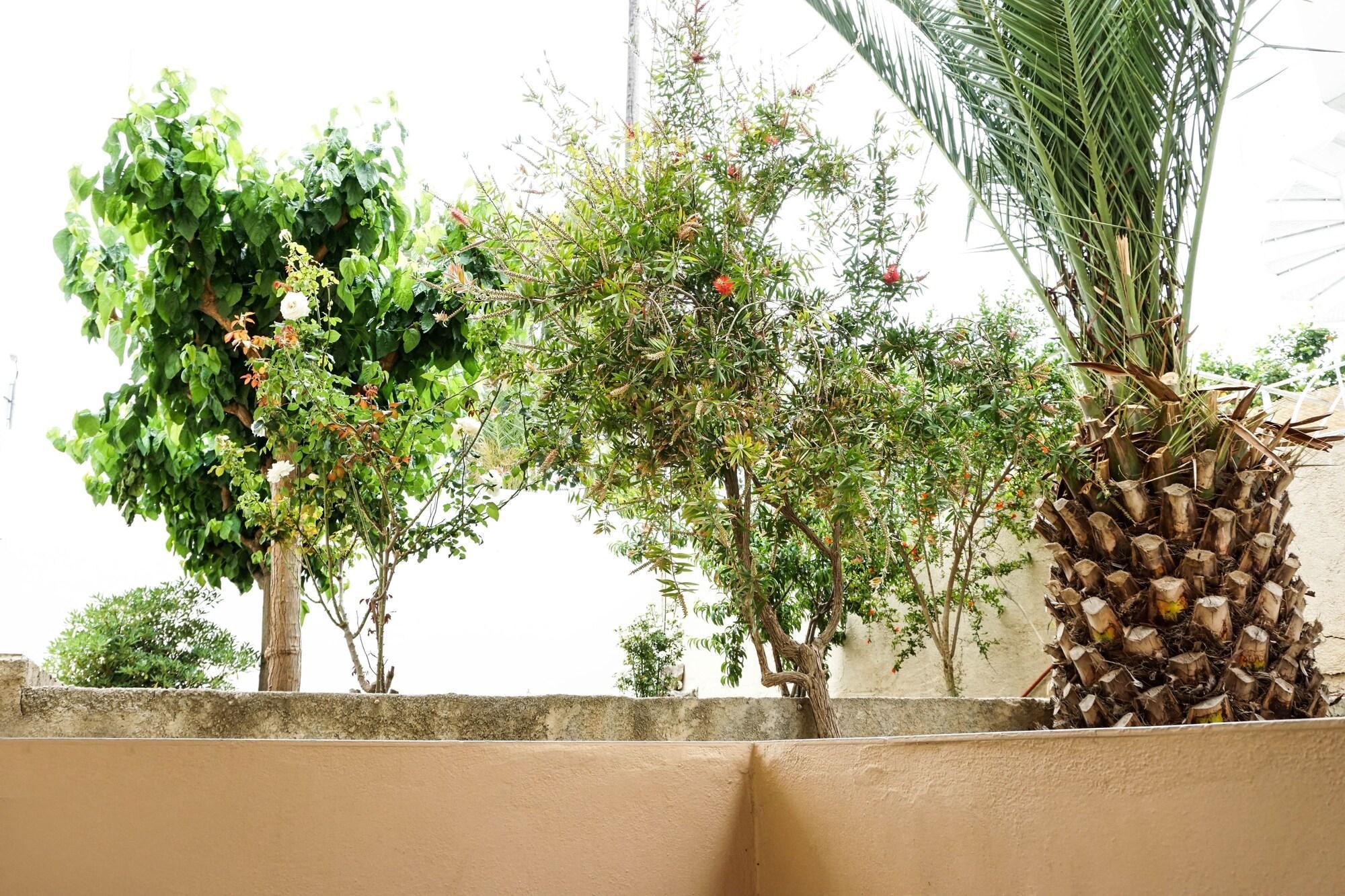 Dioni Hotel Adelianos Kampos Esterno foto